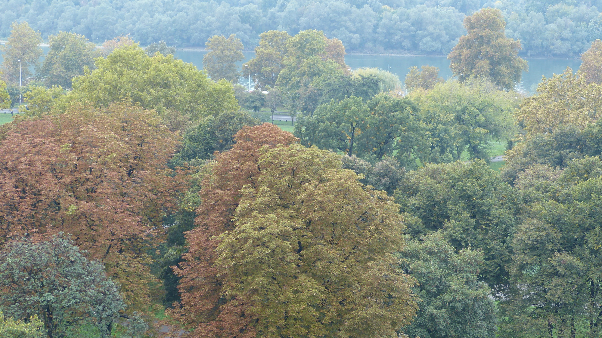 autumn colours