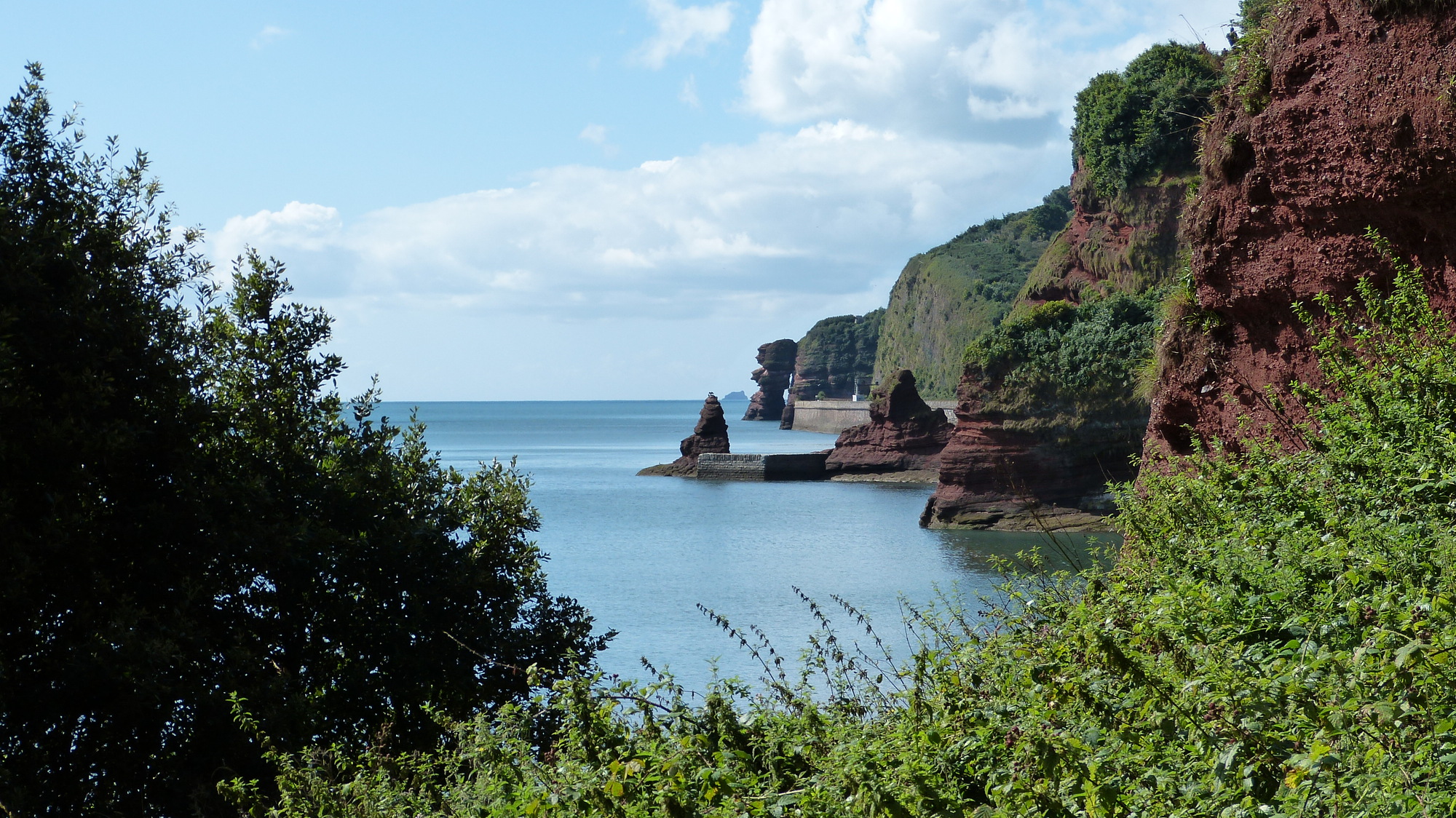 Sea and cliffs