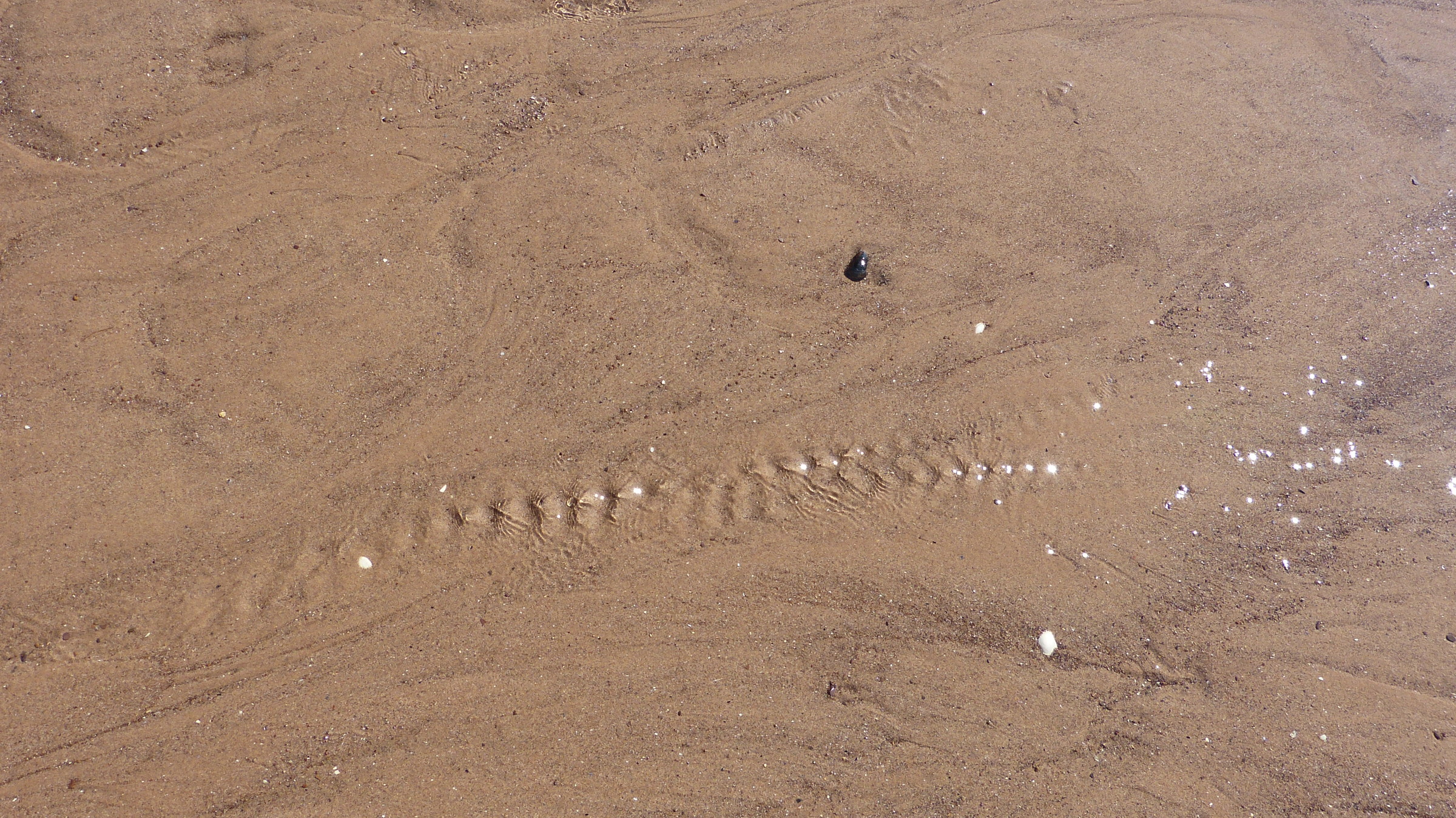 sand and waves