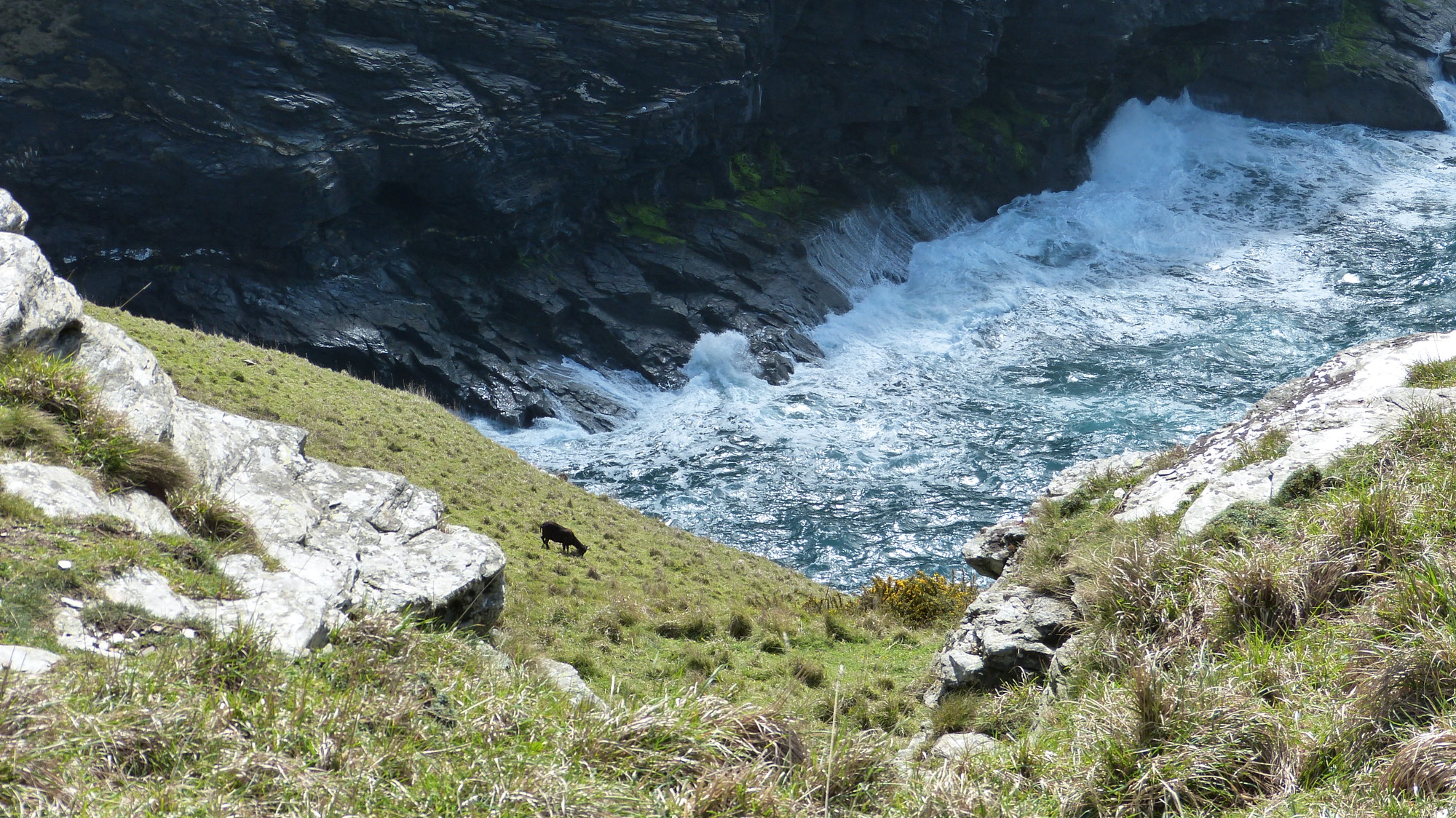 Tintagel 1