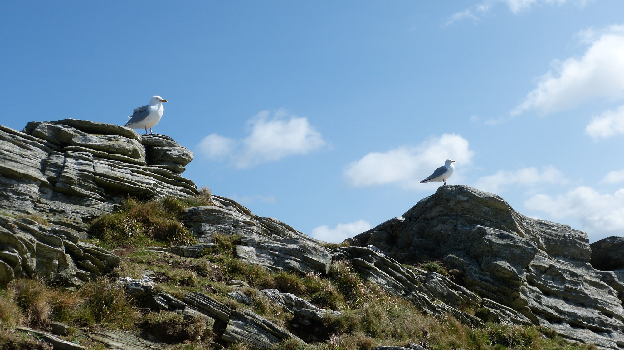 Tintagel 1