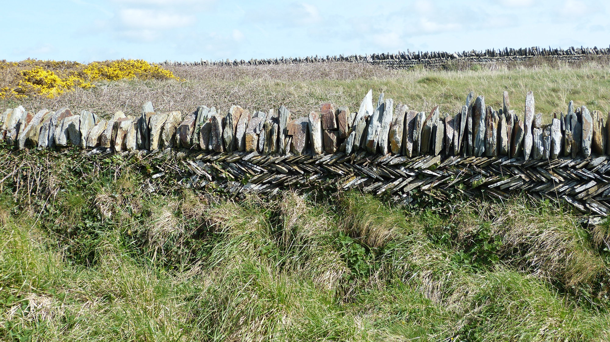 Tintagel 1