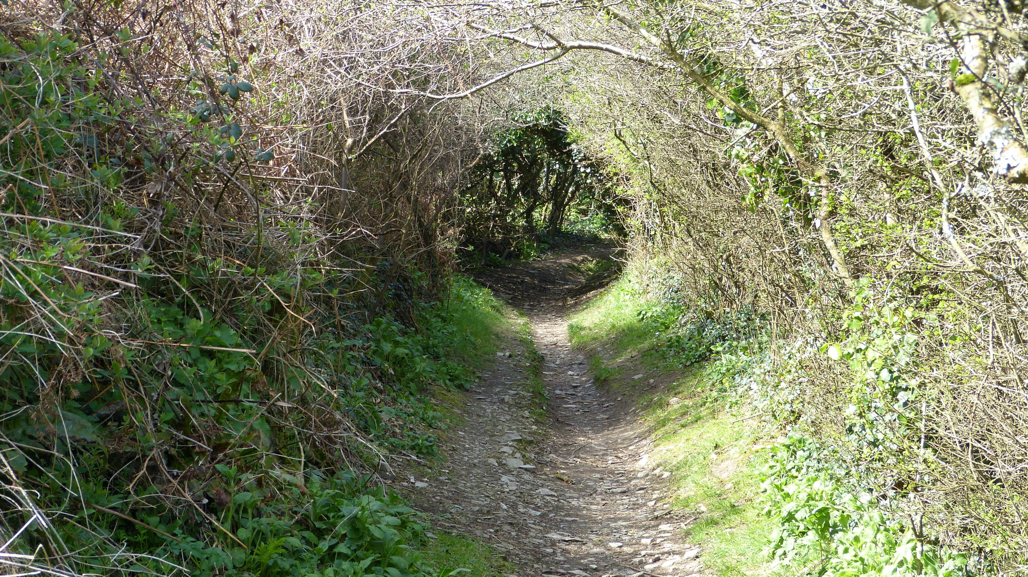 Tintagel 1