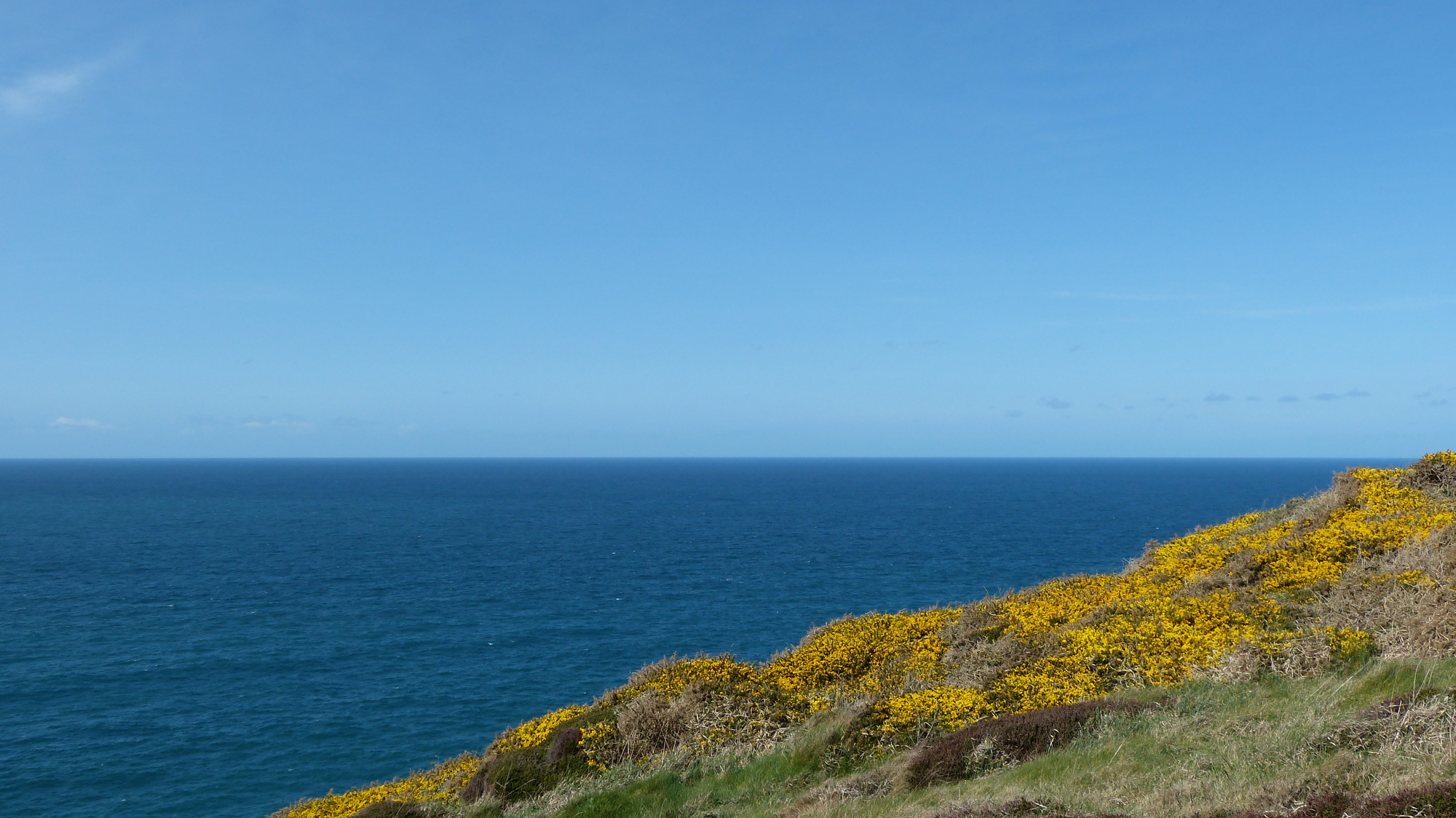 Tintagel 1