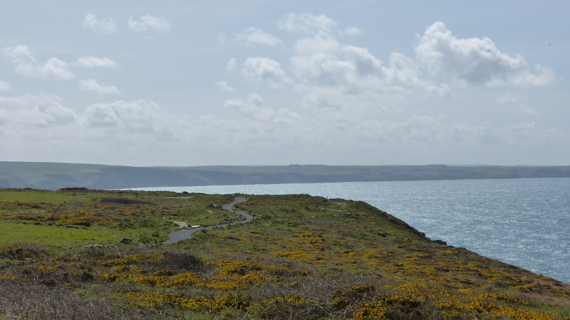 Tintagel 1