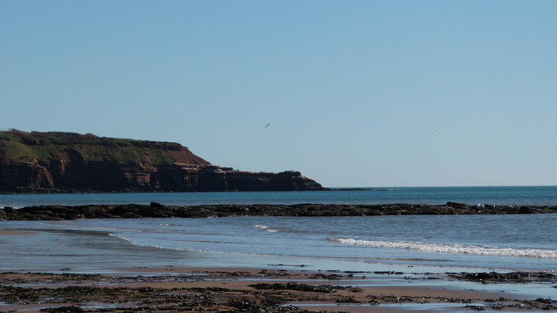 cliffs and sea