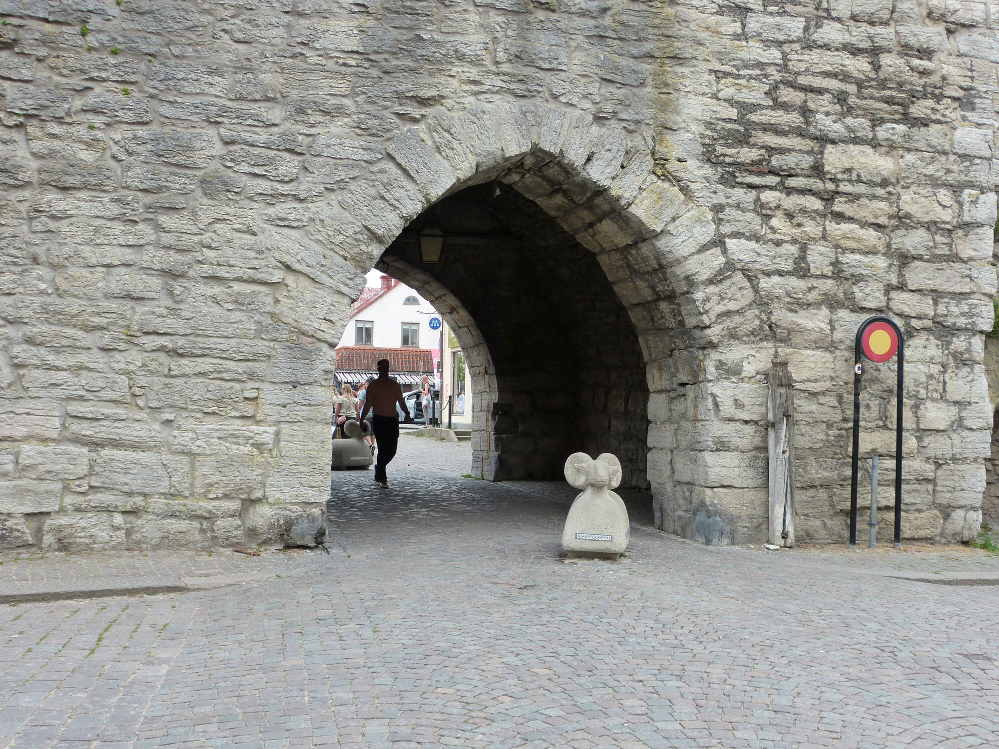 Sheep in gate