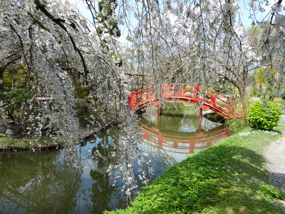 Red bridge in the Japanese garden in Toulouse